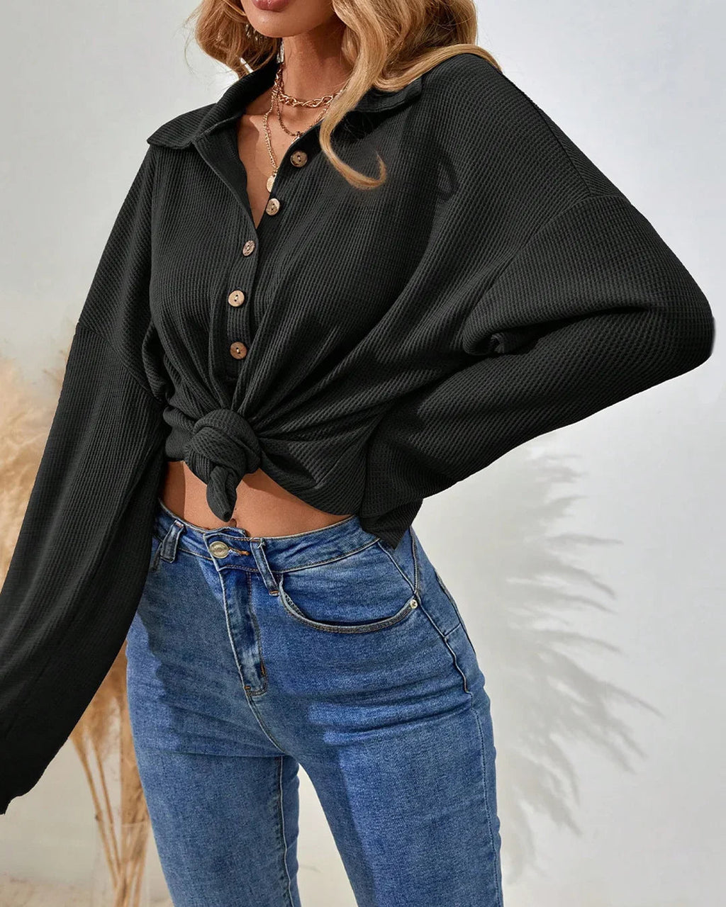 Collared Neck Straight Hem Solid Full Sleeve Top in Black