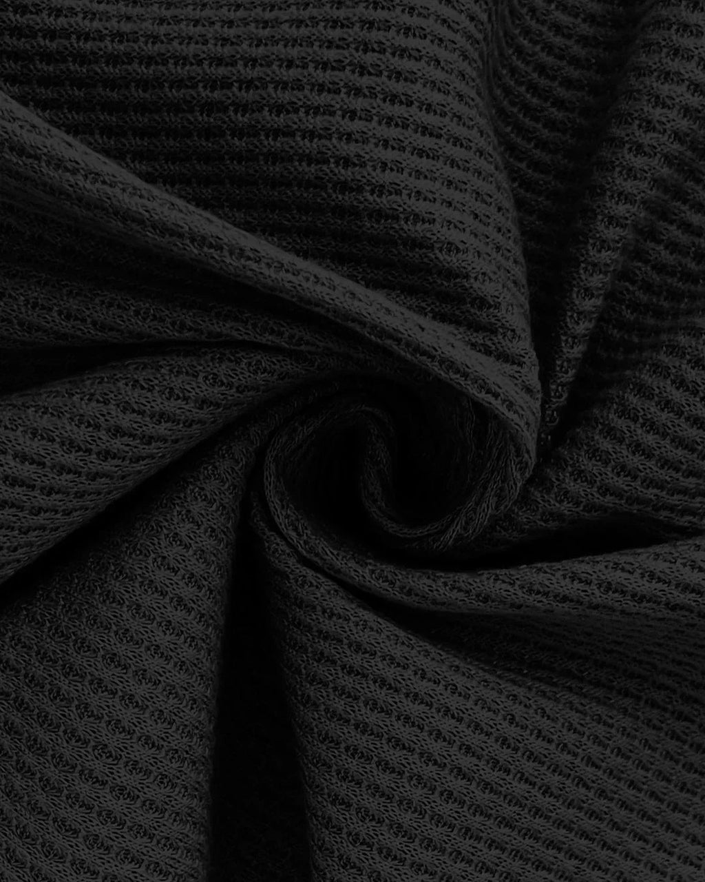 Collared Neck Straight Hem Solid Full Sleeve Top in Black