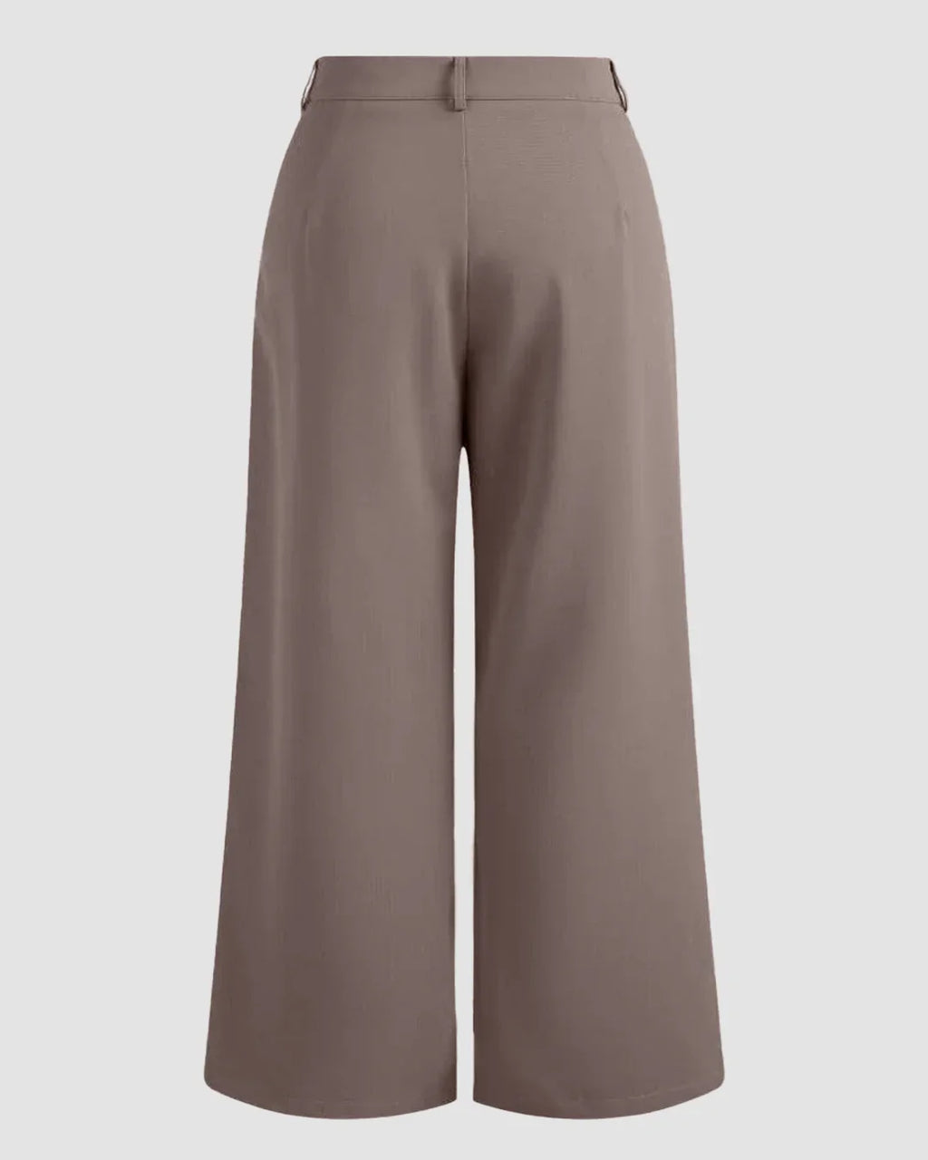 High-Waist Pleated Wide-Leg Trousers in Cappuccino Curve & Plus