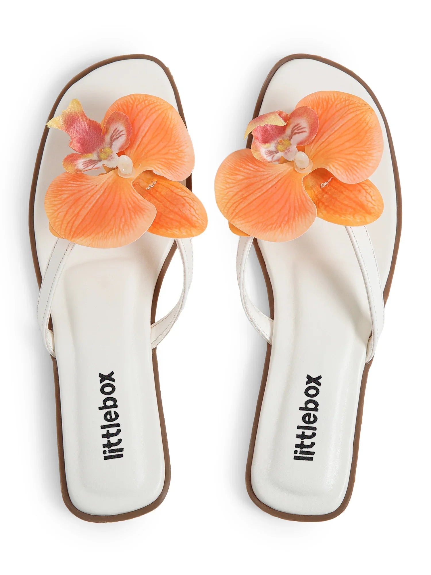 Orange Butterfly Orchid Decor Beach Flat