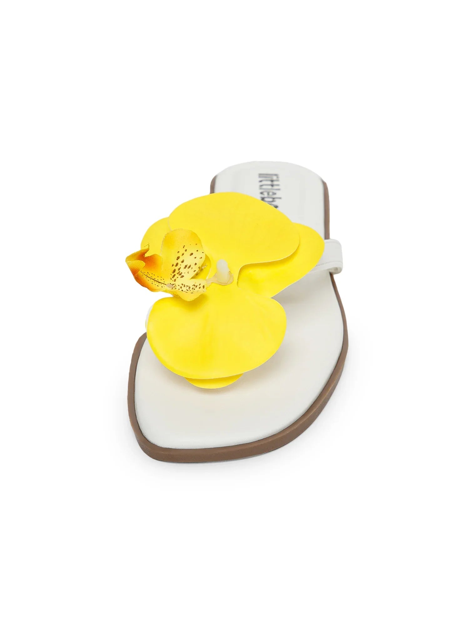 Yellow Butterfly Orchid Decor Beach Flat
