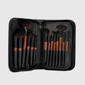 Professional Brush Set