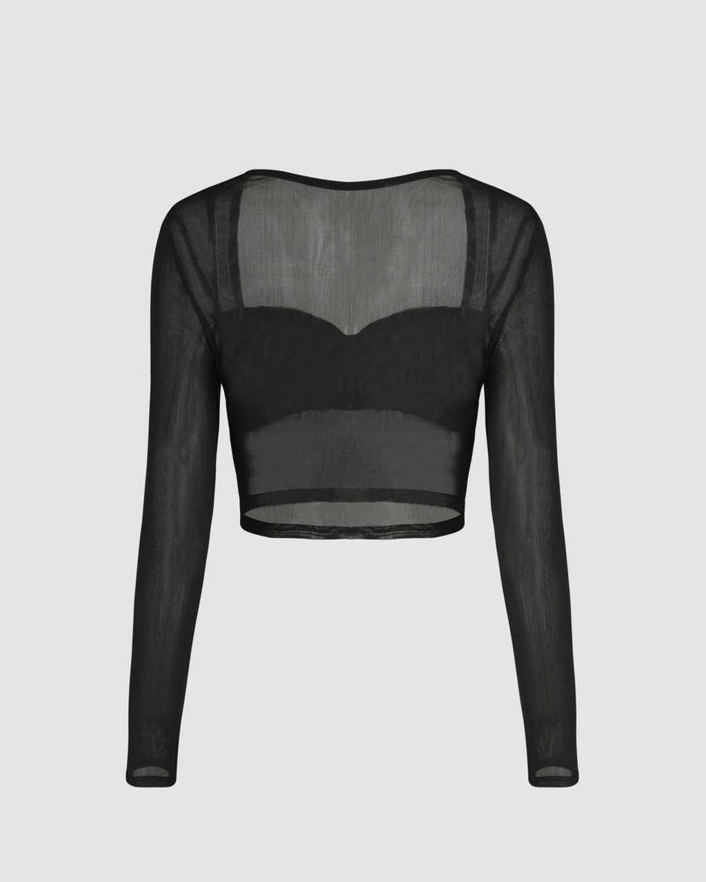 Sheer Mesh Long Sleeve Crop Top In Black