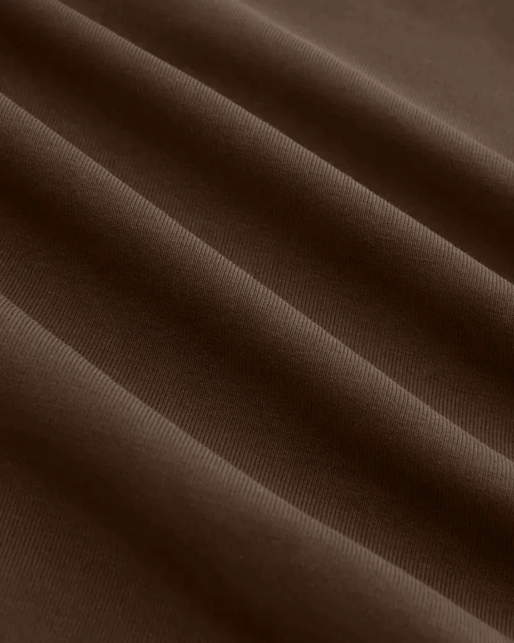 Turtle Neck Fitted Full Sleeve Top in Brown
