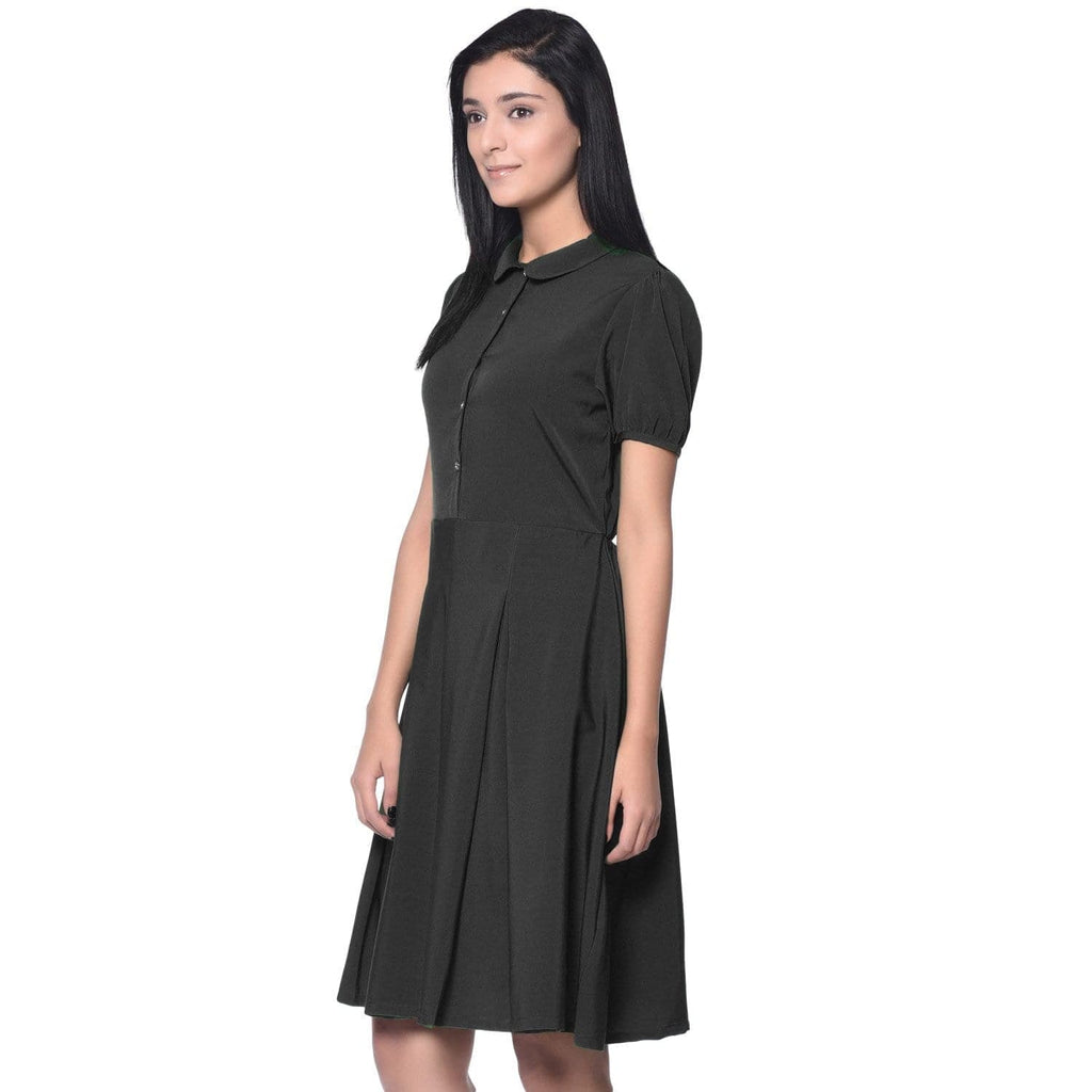 Solid Peterpan Collar Skater Dress