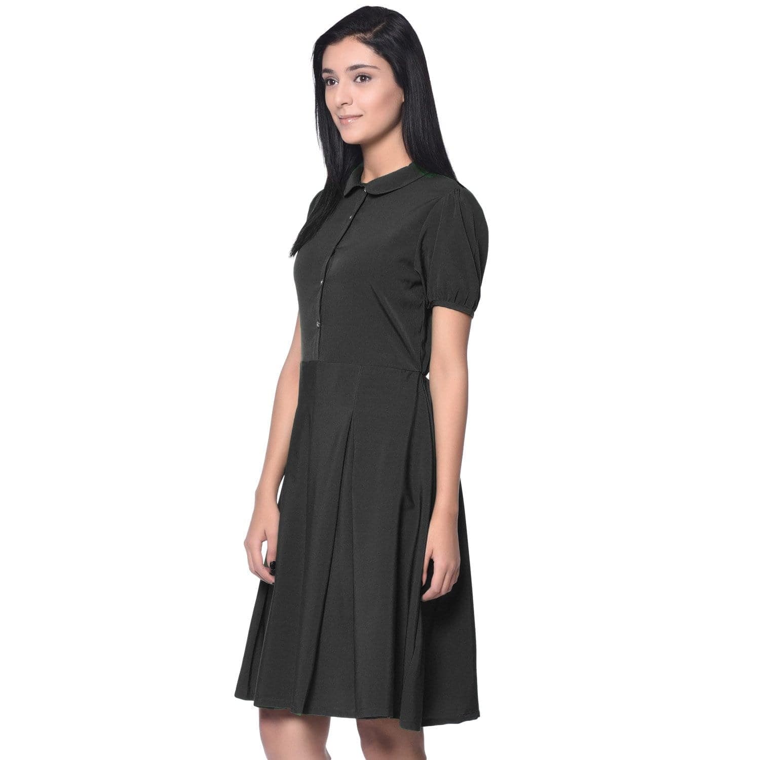 Solid Peterpan Collar Skater Dress